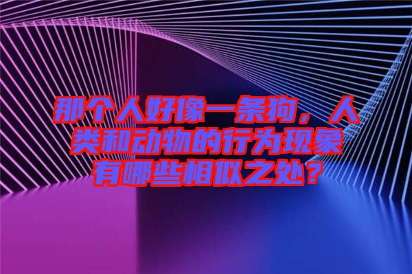 那個(gè)人好像一條狗，人類和動(dòng)物的行為現(xiàn)象有哪些相似之處？