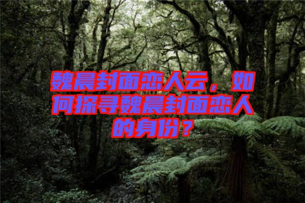 魏晨封面戀人云，如何探尋魏晨封面戀人的身份？