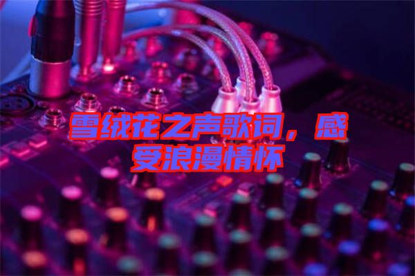 雪絨花之聲歌詞，感受浪漫情懷