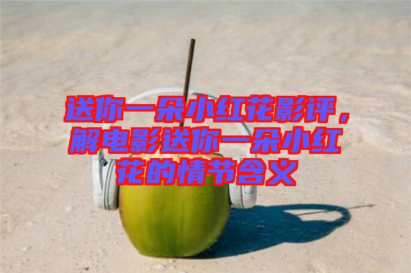 送你一朵小紅花影評(píng)，解電影送你一朵小紅花的情節(jié)含義