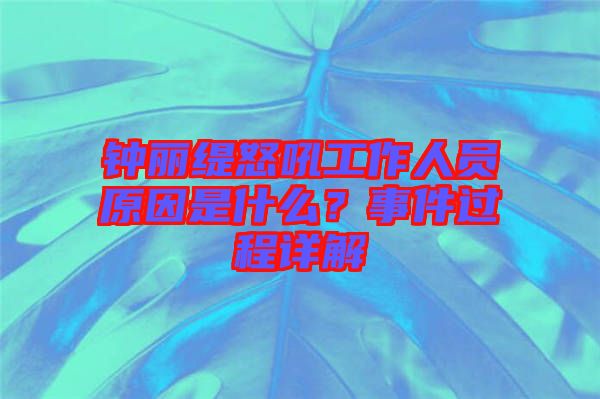 鐘麗緹怒吼工作人員原因是什么？事件過程詳解