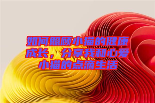 如何照顧小貓的健康成長(zhǎng)，分享我和心愛(ài)小貓的點(diǎn)滴生活