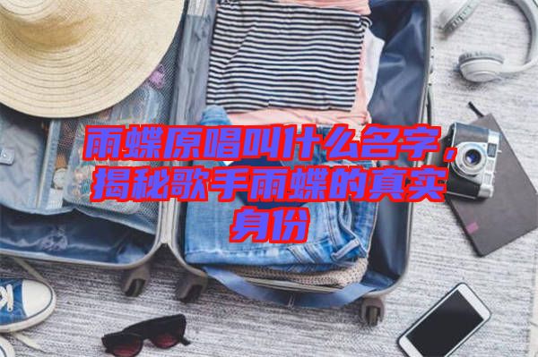 雨蝶原唱叫什么名字，揭秘歌手雨蝶的真實身份