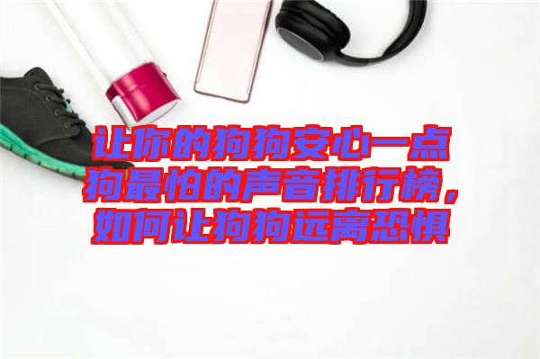 讓你的狗狗安心一點(diǎn)狗最怕的聲音排行榜，如何讓狗狗遠(yuǎn)離恐懼