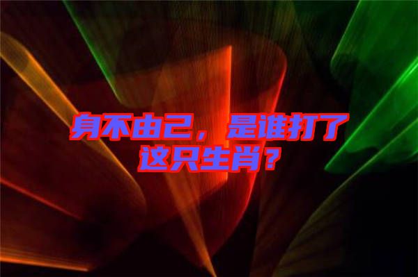 身不由己，是誰打了這只生肖？