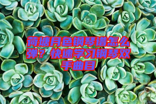 荷塘月色鋼琴譜怎么彈？快速學(xué)習(xí)鋼琴雙手曲目