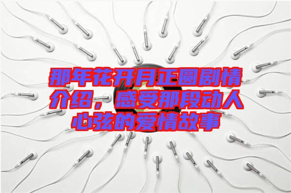 那年花開(kāi)月正圓劇情介紹，感受那段動(dòng)人心弦的愛(ài)情故事