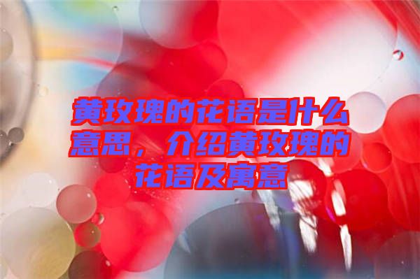 黃玫瑰的花語是什么意思，介紹黃玫瑰的花語及寓意