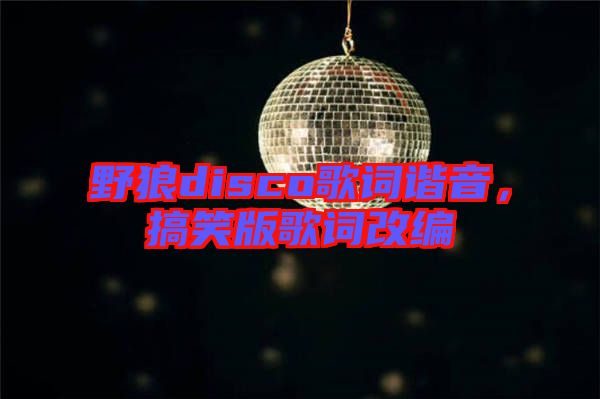 野狼disco歌詞諧音，搞笑版歌詞改編