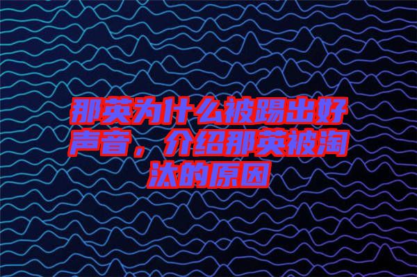 那英為什么被踢出好聲音，介紹那英被淘汰的原因