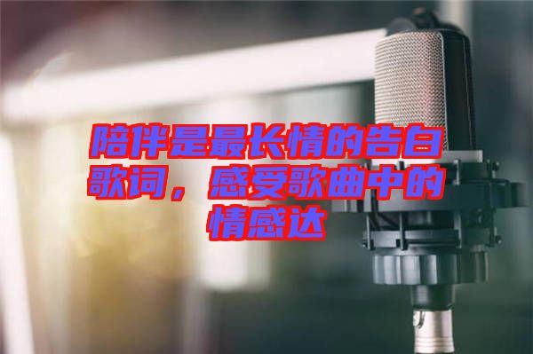 陪伴是最長情的告白歌詞，感受歌曲中的情感達(dá)
