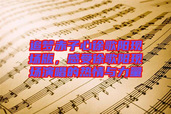 追夢赤子心徐歌陽現(xiàn)場版，感受徐歌陽現(xiàn)場演唱的熱情與力量