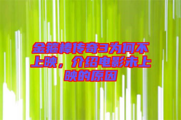 金箍棒傳奇3為何不上映，介紹電影未上映的原因