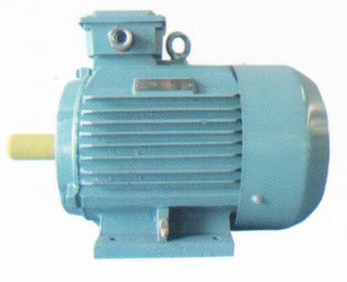 Y-H船用三相異步電動(dòng)機(jī)